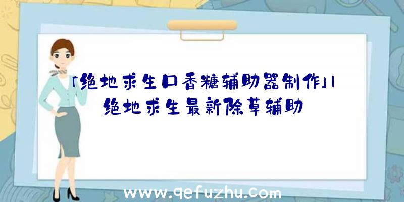 「绝地求生口香糖辅助器制作」|绝地求生最新除草辅助